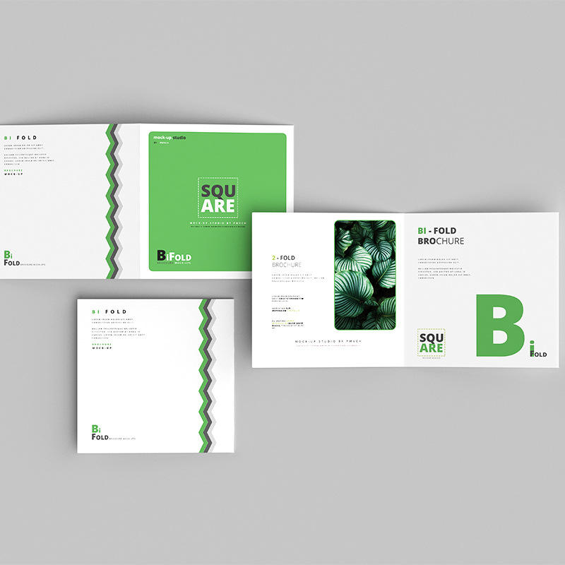 Custom Full Color Flyer Brochu - огляд і ціна Commercial Printing Supplies Usa