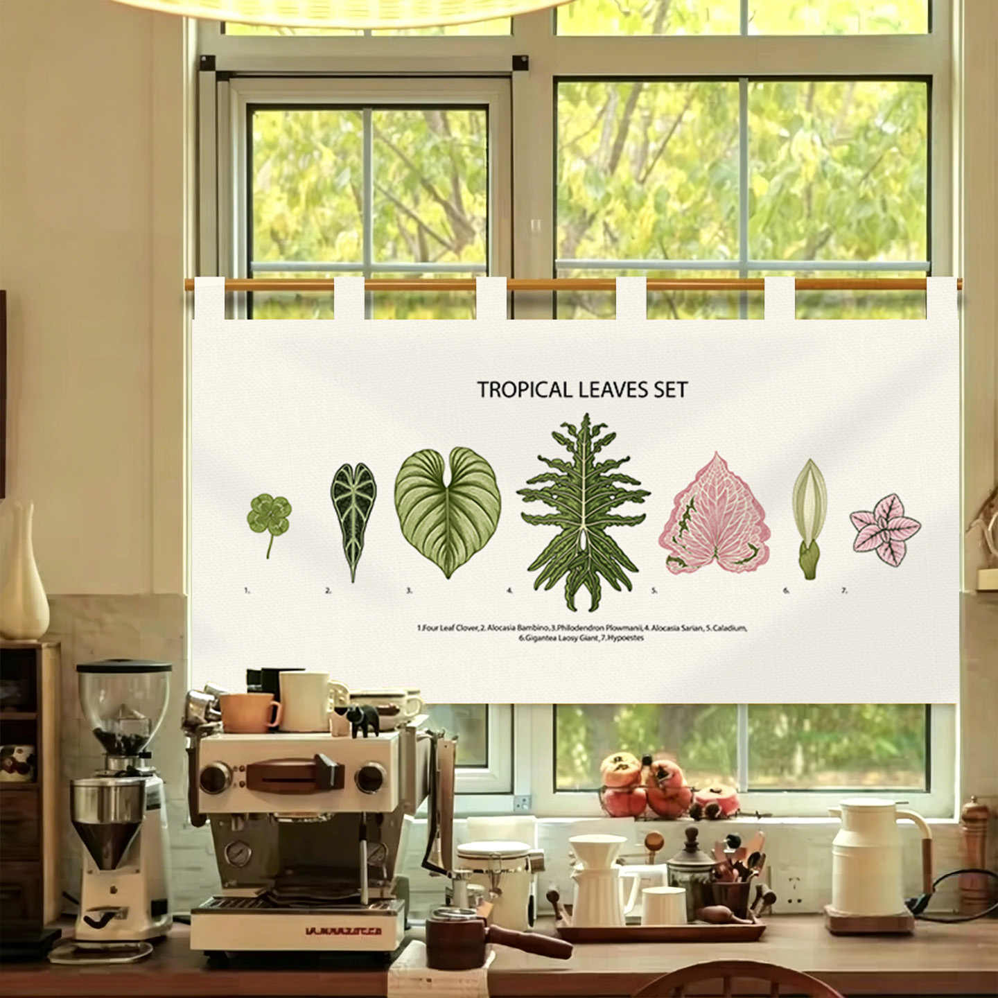 VIKAMA Vintage Hand Drawn Nore - огляд і ціна Commercial Printing Rates